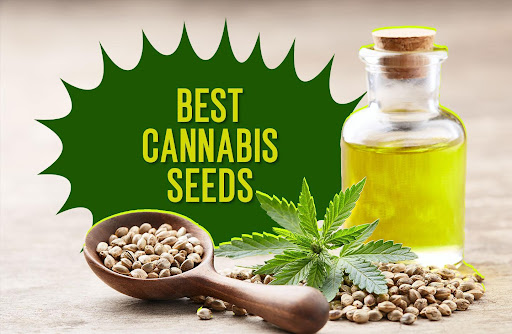 Best_Cannabis_Seeds